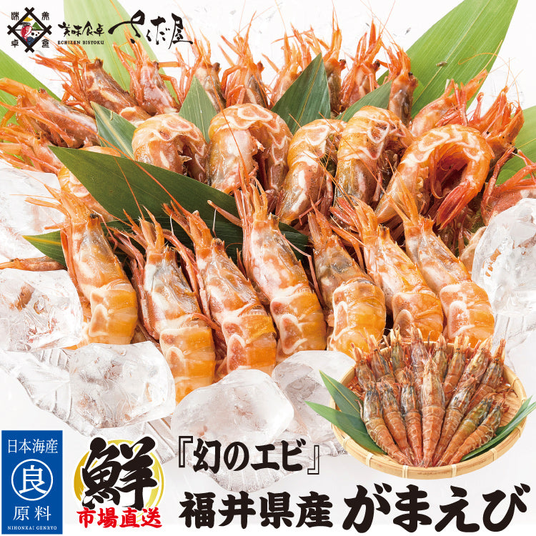 日本海産 がらえび ガラエビ 生食用 500g～1kg ｜ 福井県越前市の魚屋