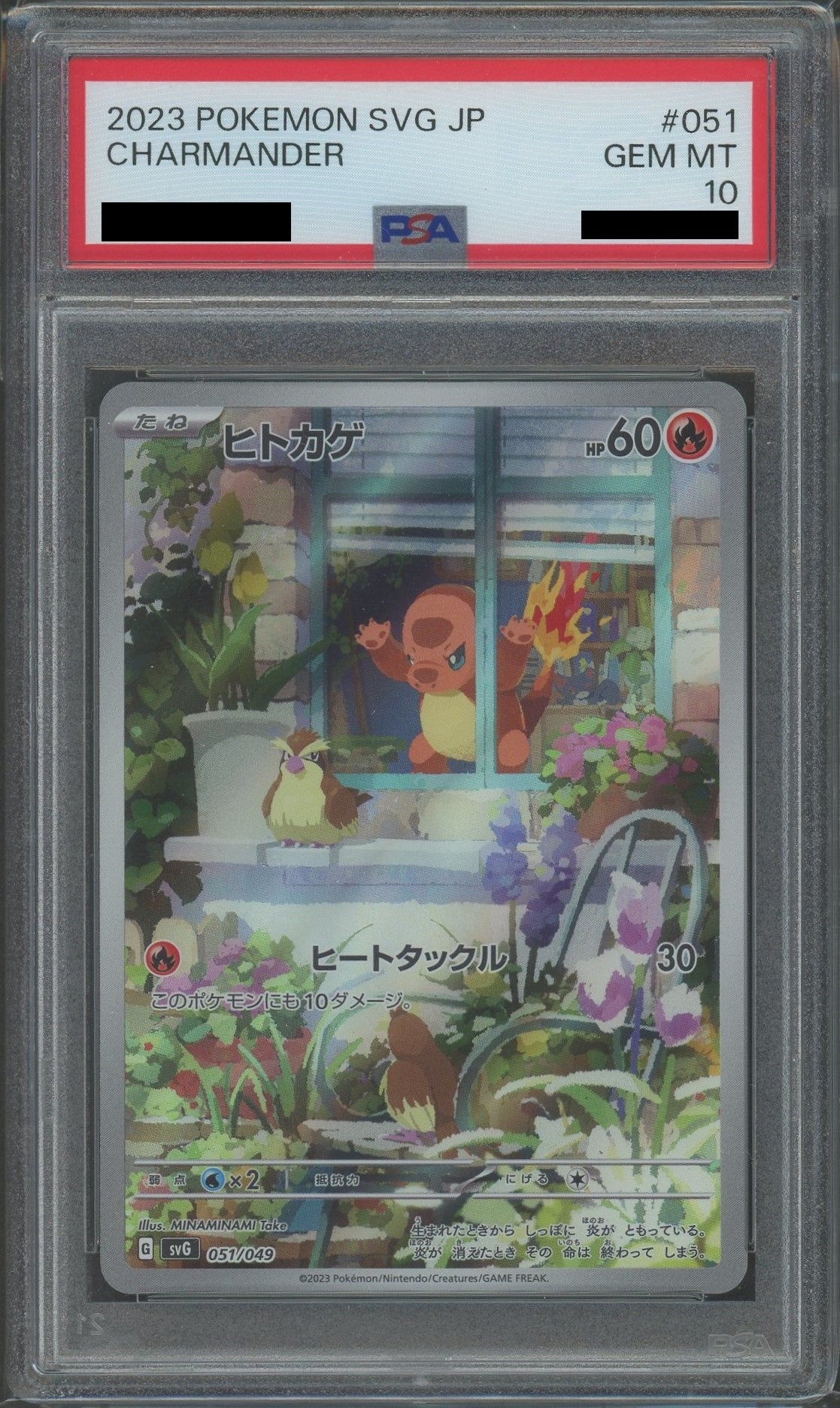 PSA10】ヒトカゲ(D){炎}〈051/049〉[SVG] – 晴れる屋2
