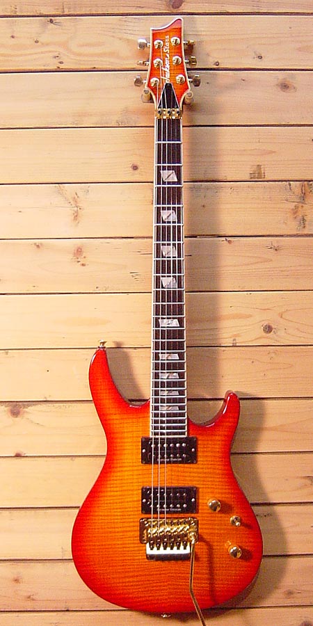 平野楽器 JAPAN VINTAGE GUITAR SHOP