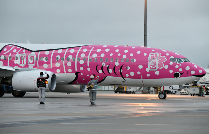 JTA、新さくらジンベエ就航 合格祈願お守り搭乗券も