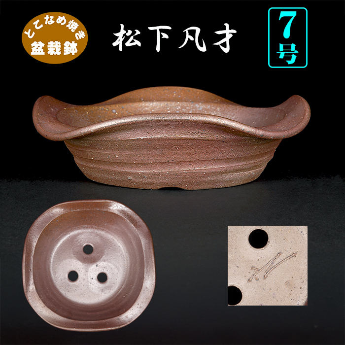 凡 才 | 盆栽、盆栽書籍、盆栽鉢の通販│近代出版
