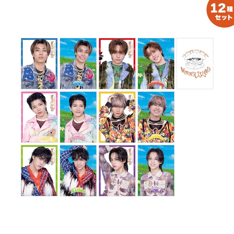 EXILE TRIBE STATION ONLINE STORE｜Wonder Island フォトカード12種セット
