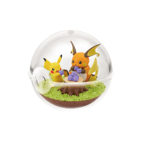 ポケモン』新作 テラリウムコレクション発売！きのみを美味しそうに