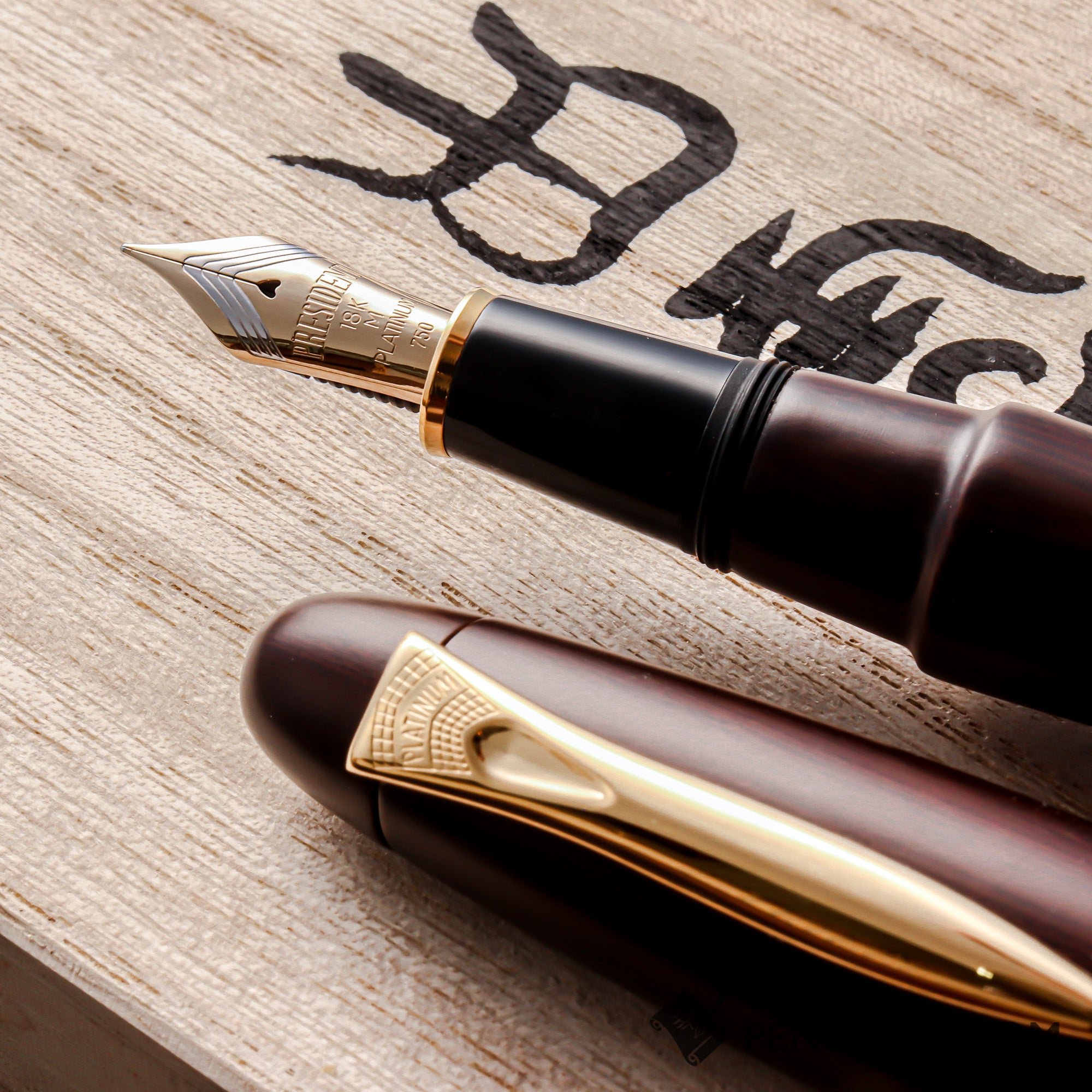 PLATINUM Izumo Tagayasan Fountain Pen - Matte Black | PenSachi