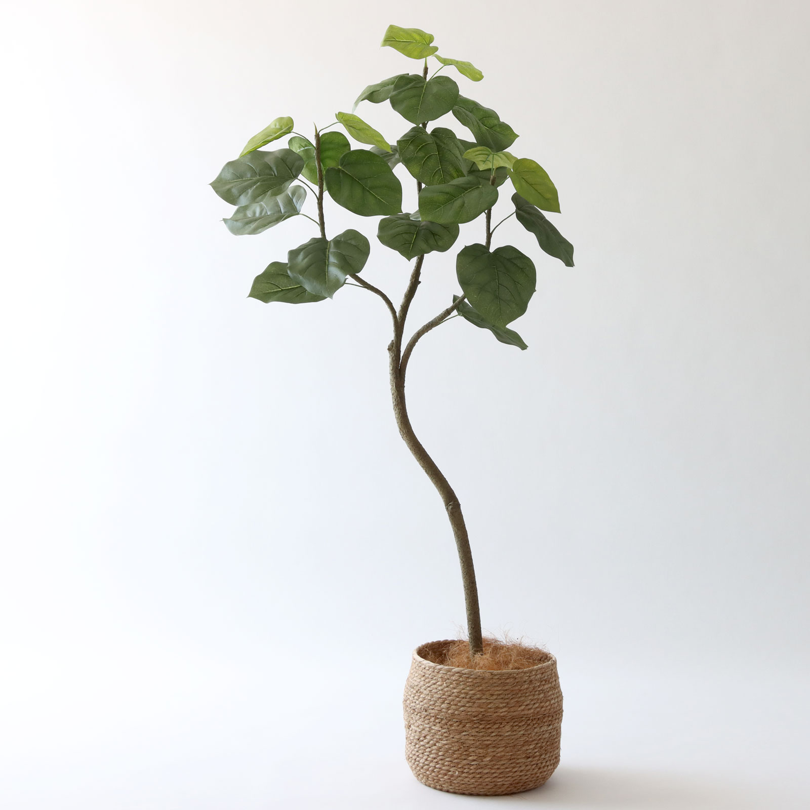 プレミアム光触媒フェイクグリーン 造花ドットコム zouka.com