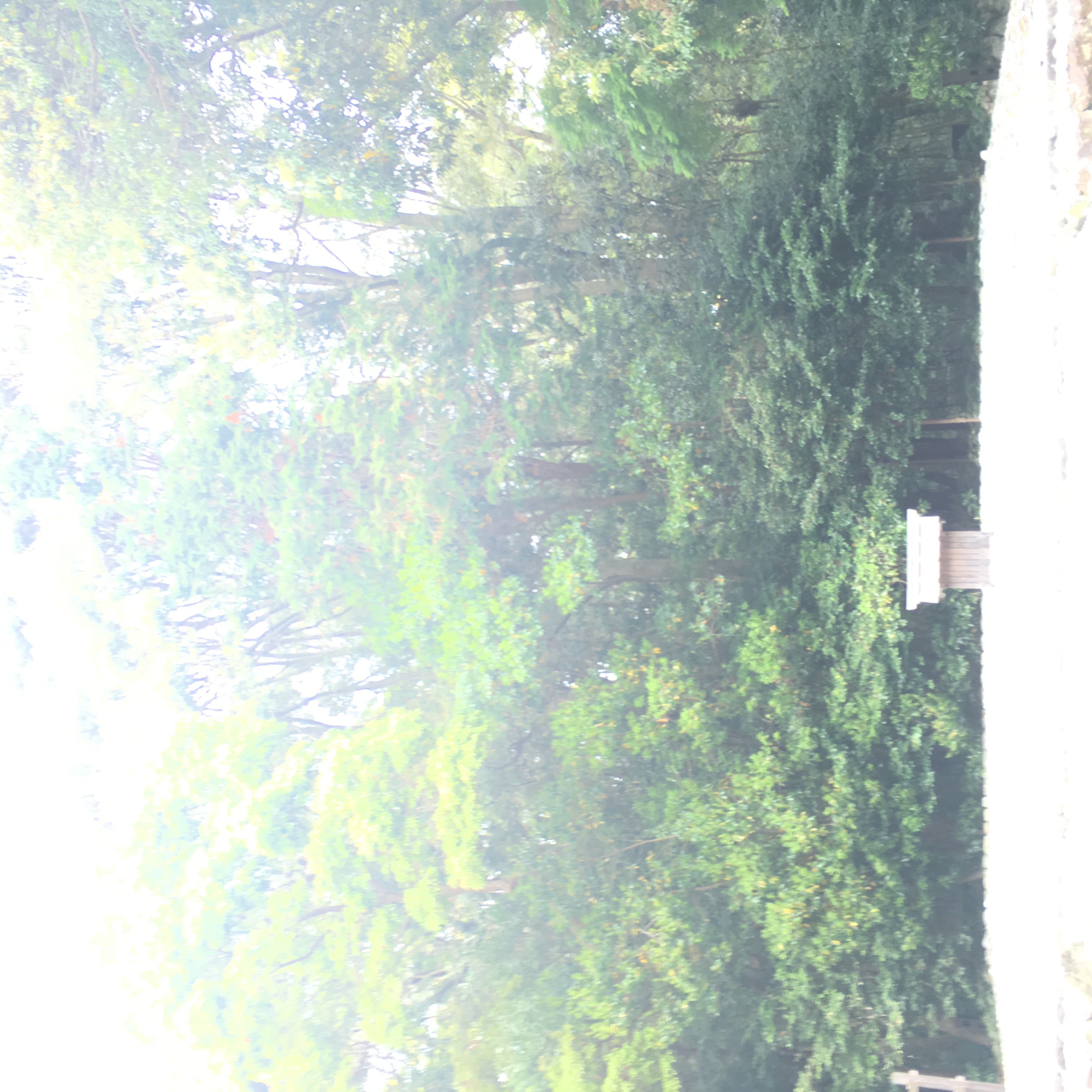 伊勢神宮で平成感謝の勾玉（まがたま）をいただきました。 | 安藤