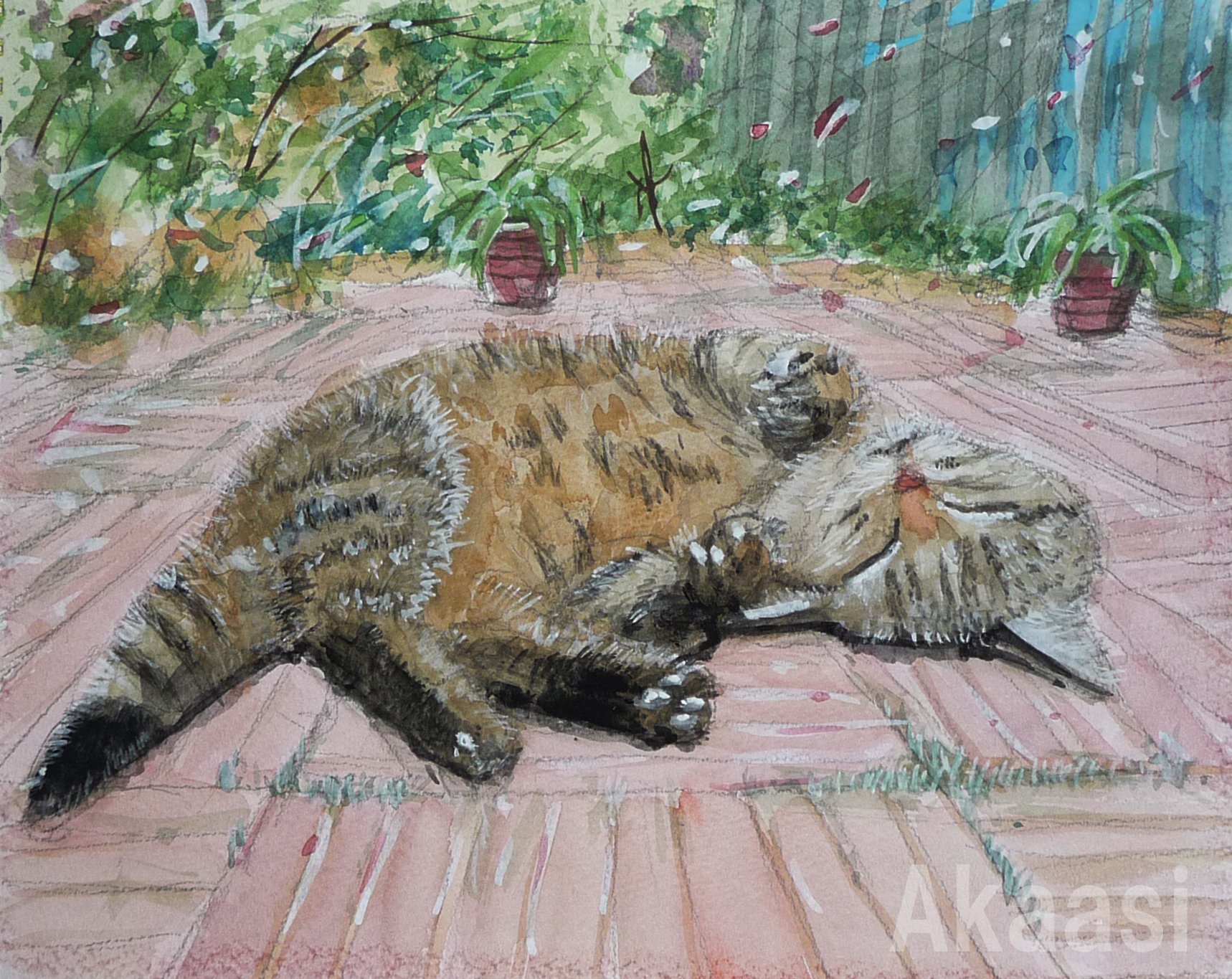 陽だまりで、寝てる猫 水彩画｜アカアシ