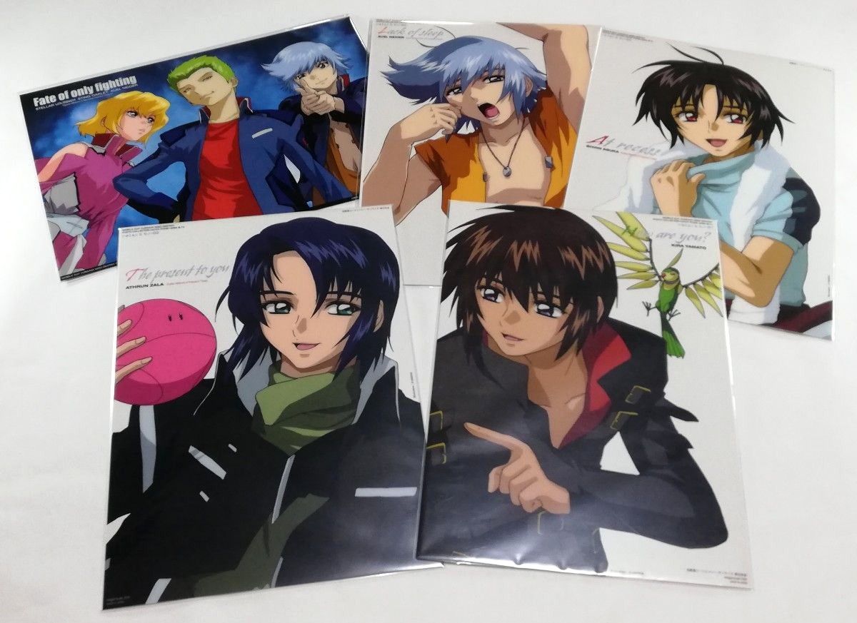 機動戦士ガンダムSEED DESTINY フォトコレクションCellDX relax&tv5種