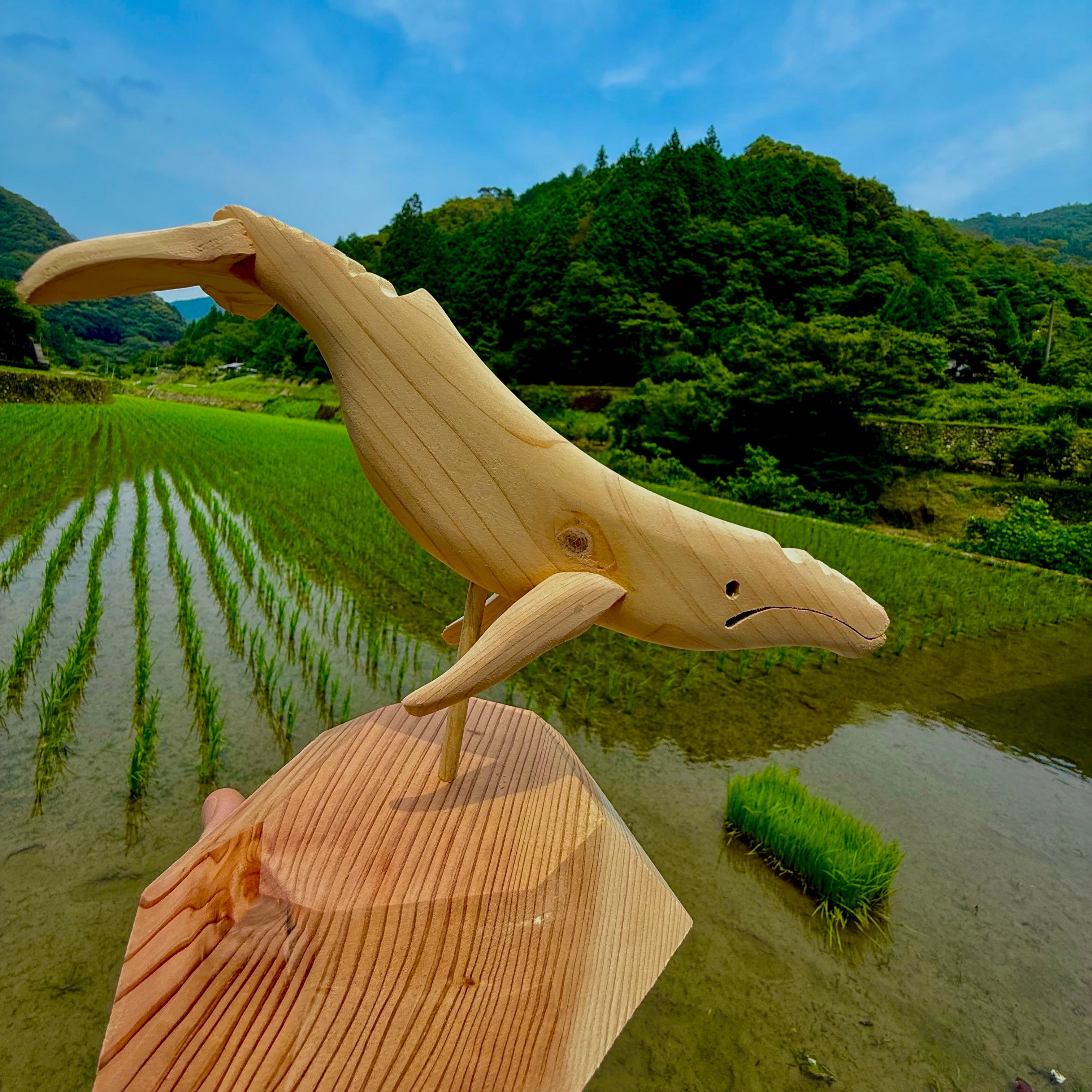 硯 木製の彫刻・オブジェ 約20cm 鯨のオブジェ （横22cm×縦20cm） |