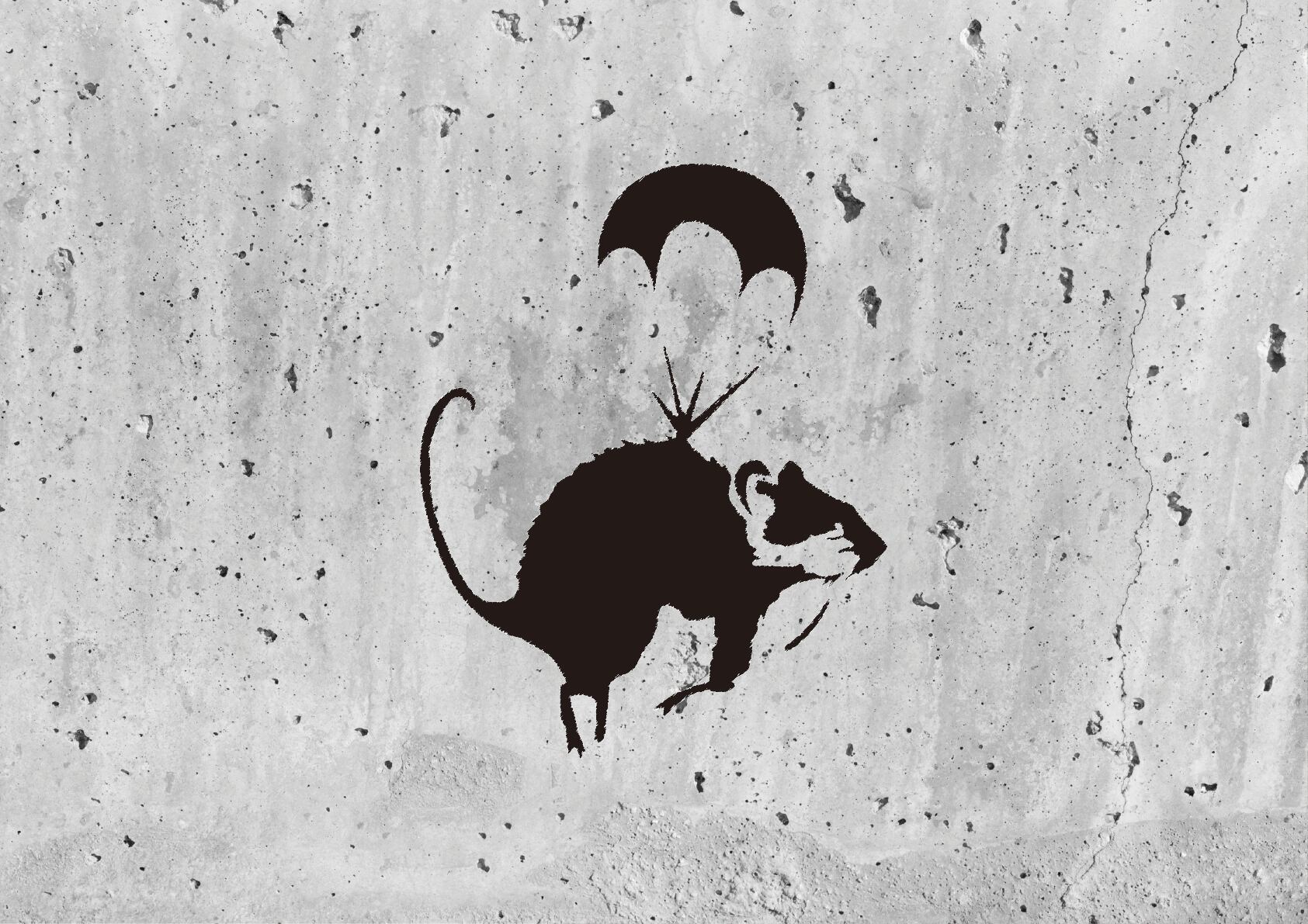 c52f2ddfbb3f33b4ff4f112f34732b