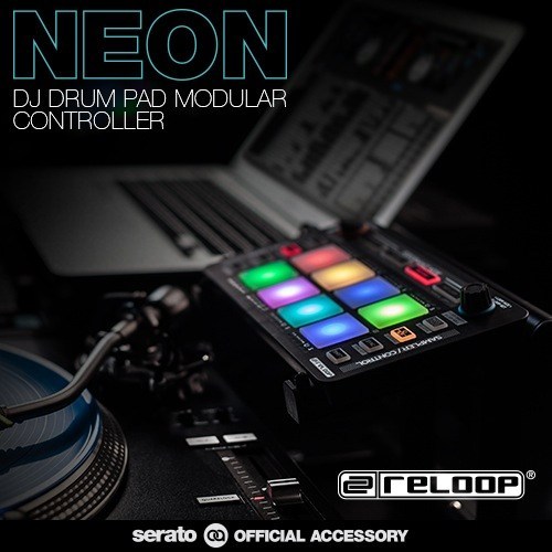 NEON - Dirigent | ディリゲント