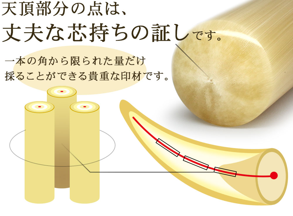 牛角(上)印鑑 12.0ミリ | 印鑑の西野オンライン工房