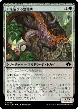 森/Forest》[Guruランド] 土地 | 日本最大級 MTG通販サイト「晴れる屋」