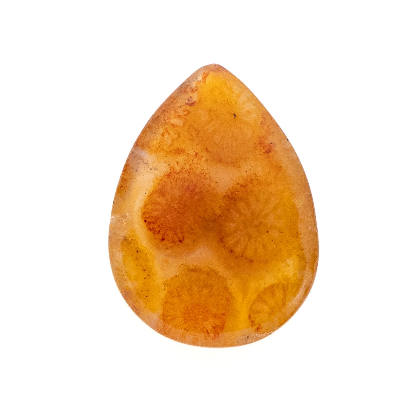 太古の息吹を感じる石】フォッシルコーラル 7.75ct | まるむ商会