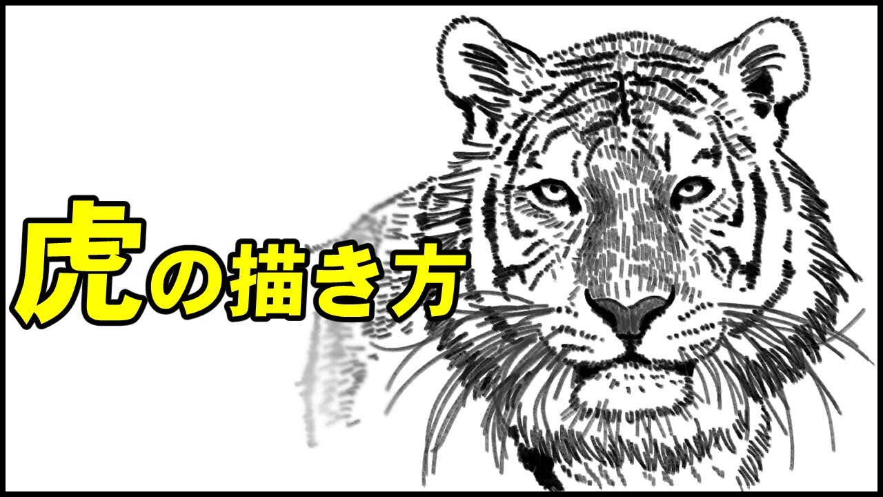 How to Draw a Tiger Face [5 min learning] - YouTube