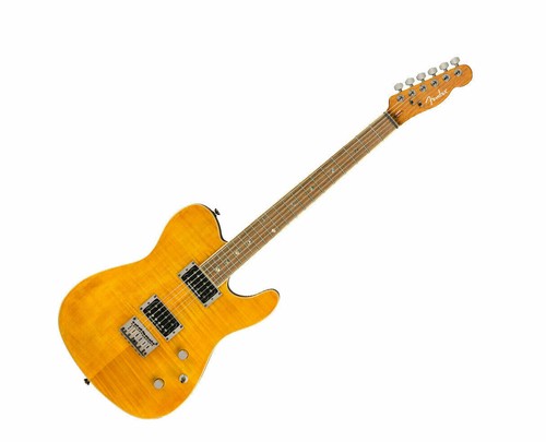 Fender Telecaster Thinline Cunife Hard Case Safe delivery from