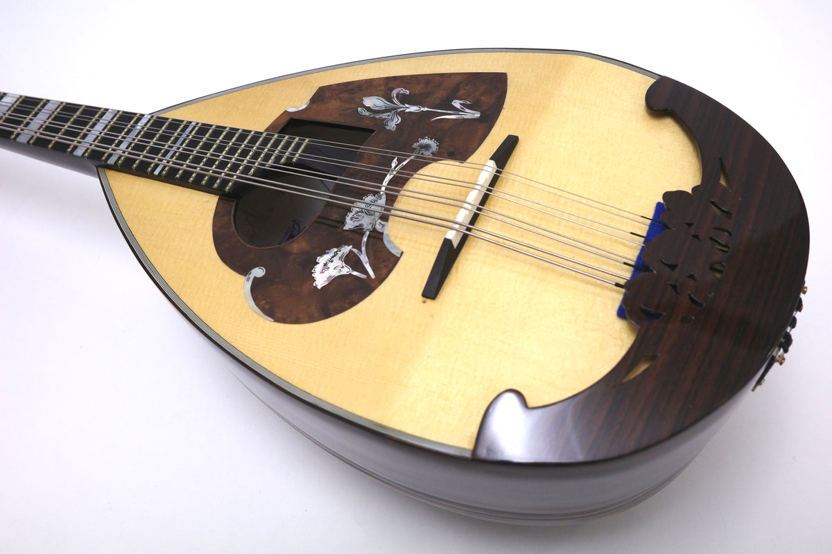 カラーチェマンドラNo.16bis | イケガク