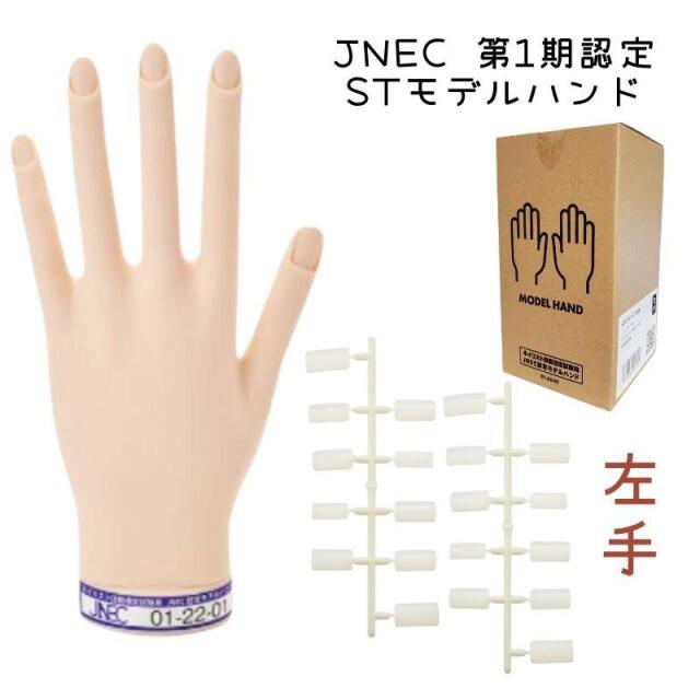 ネイリスト検定 練習 ハンド JNEC認定 滝川 STモデルハンドセット 右手