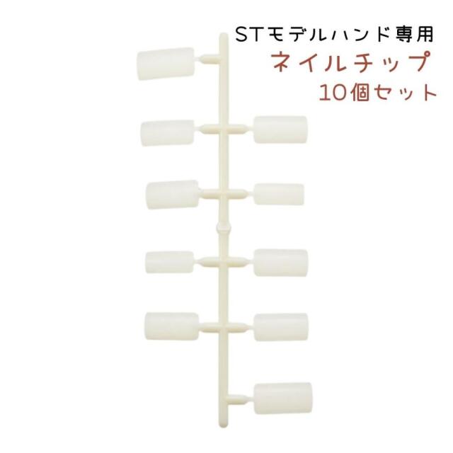 ネイリスト検定 練習 ハンド JNEC認定 滝川 STモデルハンドセット 右手