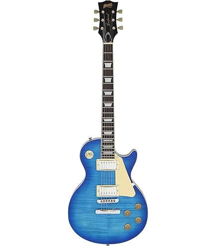 Amazon | PLAYTECH (プレイテック) エレキギター レスポールタイプ 2