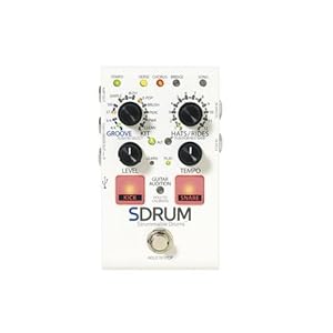 Digitech RP255【Supernice!エフェクター】