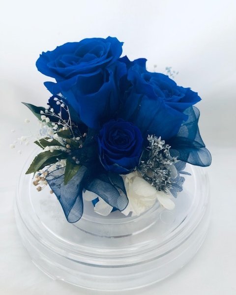 プリザーブドフラワー/ドームの中で咲く青い薔薇/ラッピング付き