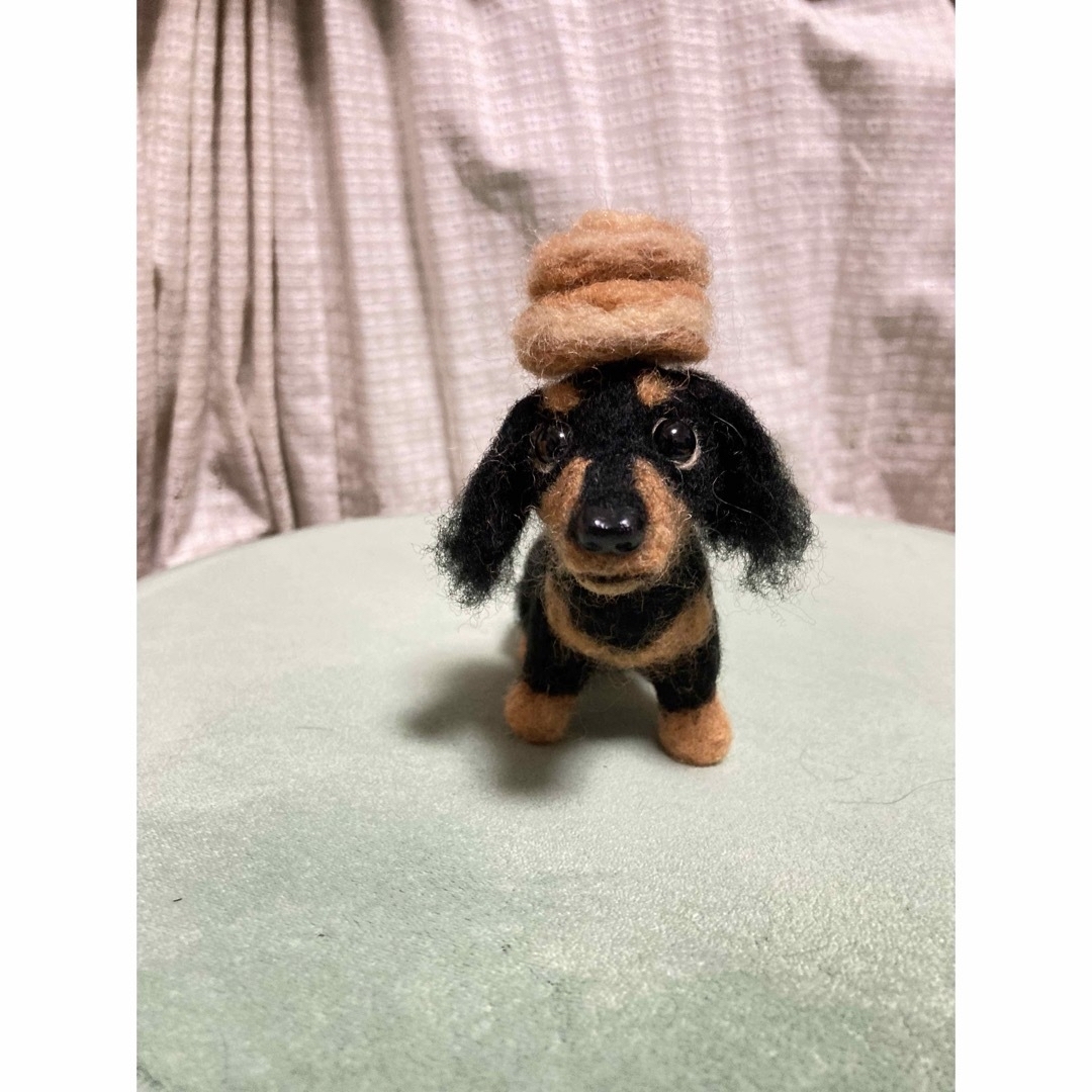 見本 ブラックタンダックスフンド ミニチュアダックスフンド 羊毛