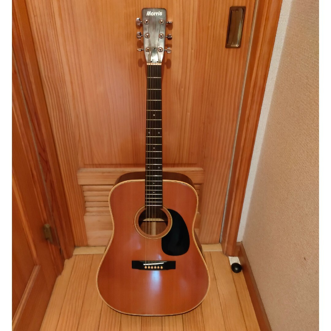 MORRIS - 1975年 モーリスW-20（エレアコ）の通販 by anan's shop