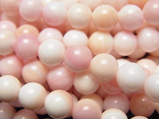 クィーンコンクシェル ラウンド6mm 1連｜天然石ビーズの卸問屋・通販
