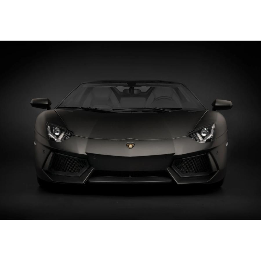 Pocher 1/8 Lamborghini Aventador LP 700-4 Roadster Nero Nemesis