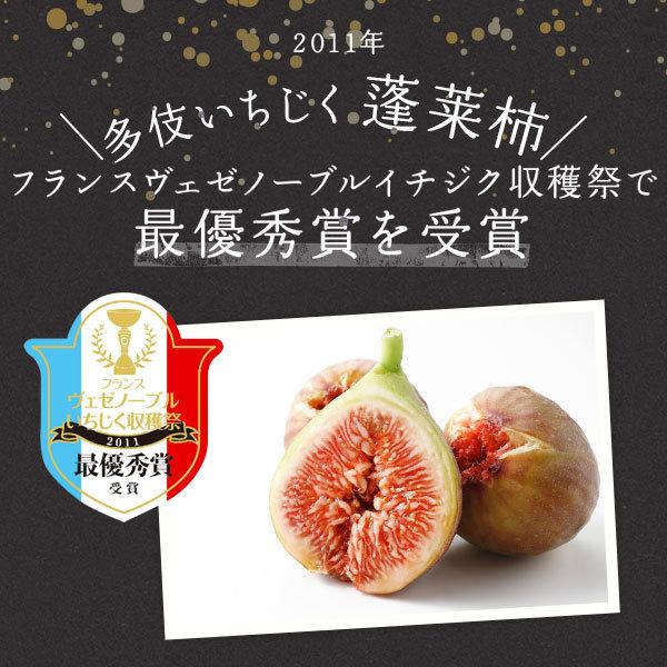 国産 いちじく姿煮 島根県多伎町産 160g×8個 JAしまね 出雲 : 鳥取