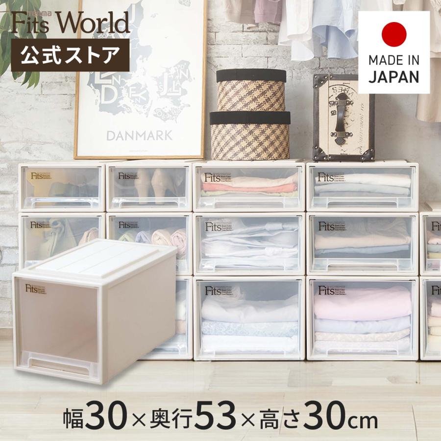 天馬 収納ケース 衣装ケース フィッツケース クローゼット L-30