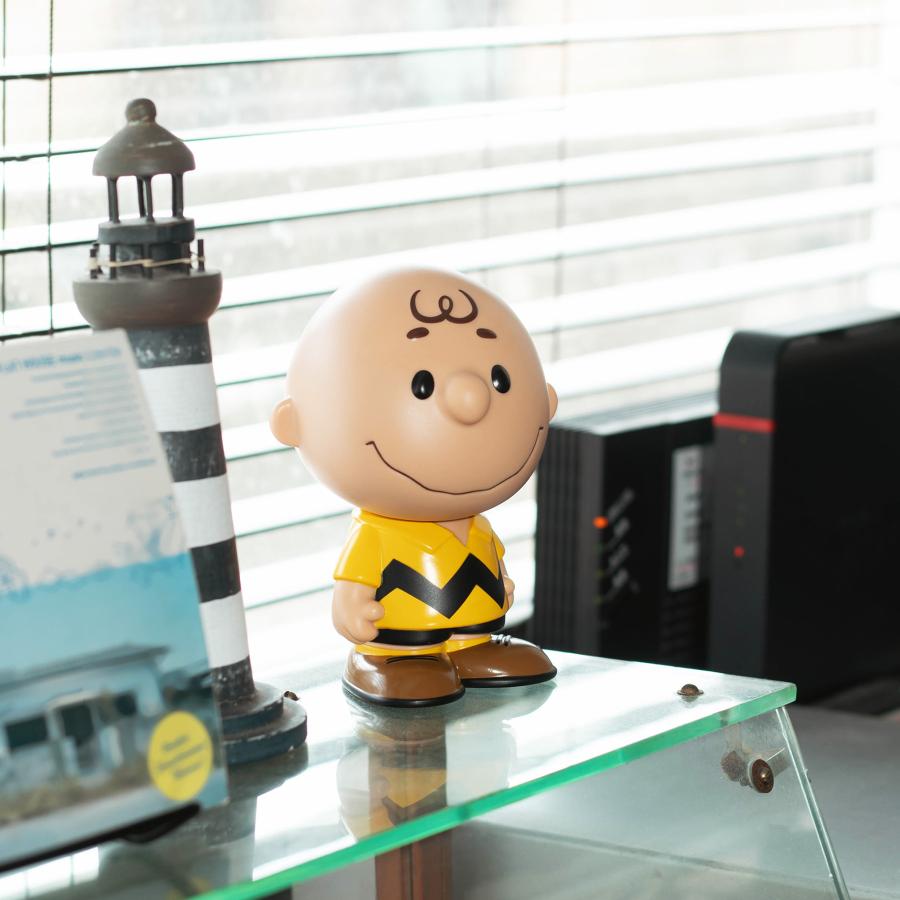 PEANUTS フィギュア Super7 Peanuts FUN! FUN! Wave 1 Charlie Brown