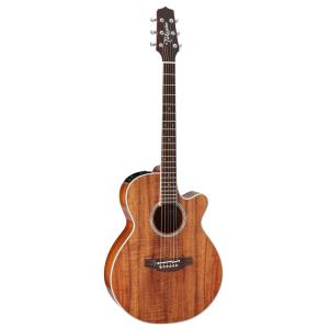 送料無料) Takamine (タカミネ) PTU541C アコースティックギター