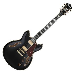 Ibanez（アイバニーズ） アイバニーズ / AS73-TCD ASシリーズ セミアコ
