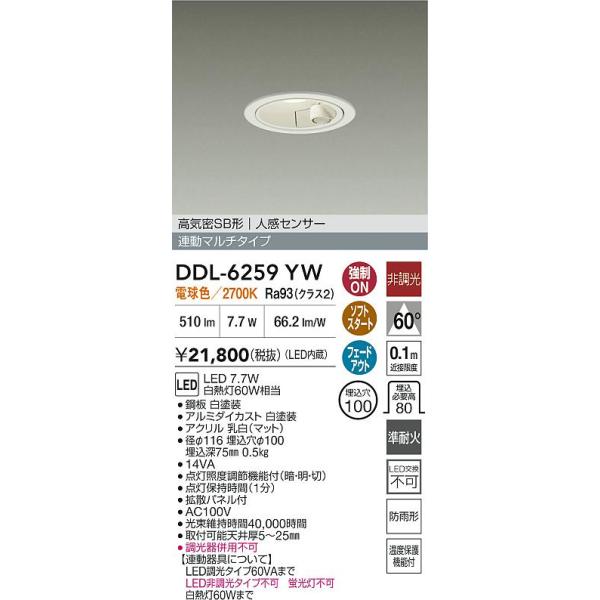 大光電機 安心のメーカー保証【送料無料】大光電機 DDL-6259YW 屋外灯