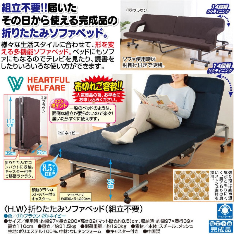 0255930 折りたたみソファベッド (組立不要) ファミリー・ライフ