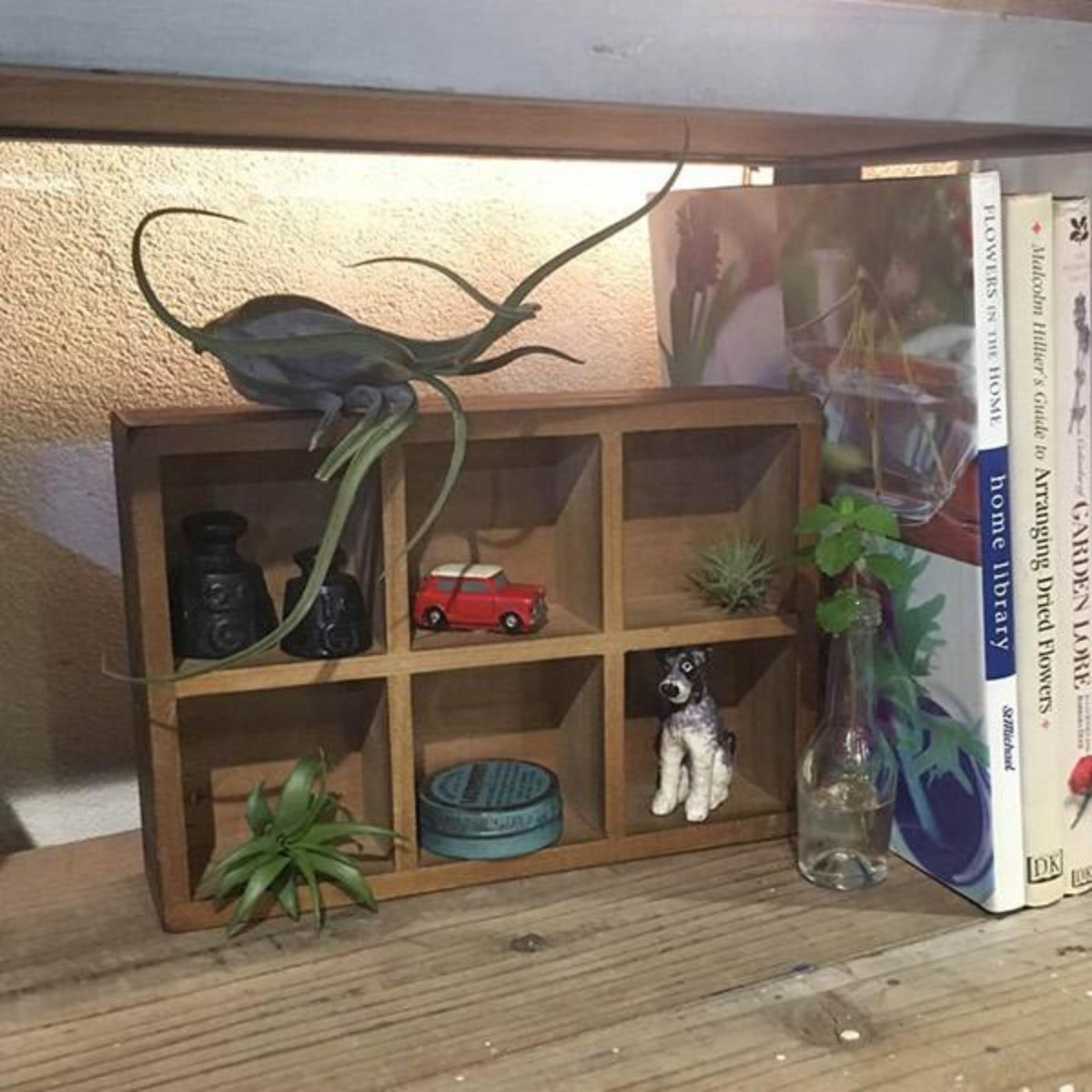 小物収納 ダルトン DULTON 6 PARTITION WOODEN BOX H65 ウッデン