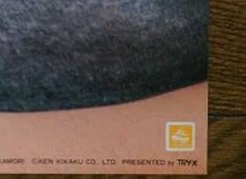 Amazon.co.jp: ・中森明菜BIGポスター Bケン企画 : おもちゃ