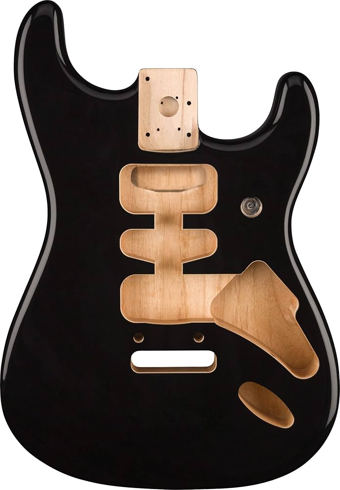 Amazon | Fender Deluxeシリーズ ストラトキャスターボディ アルダー