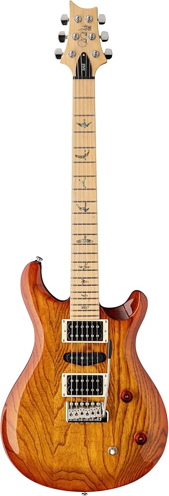 Amazon.com: PRS SE Swamp Ash Special Electric Guitar, Vintage
