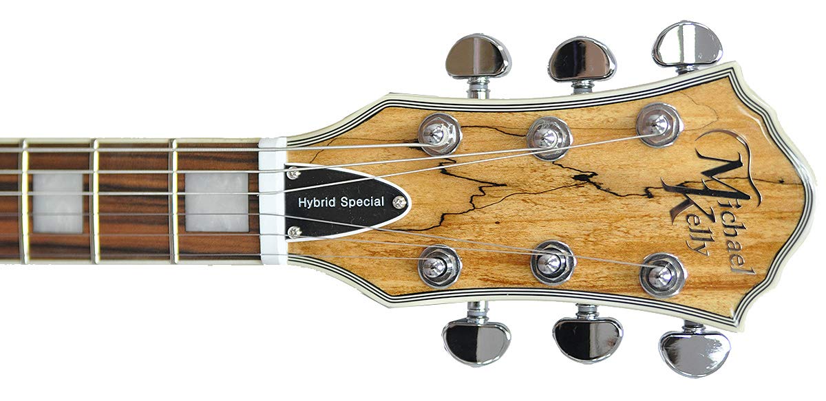 Amazon | Michael Kelly guitars (マイケルケリーギターズ) エレキ
