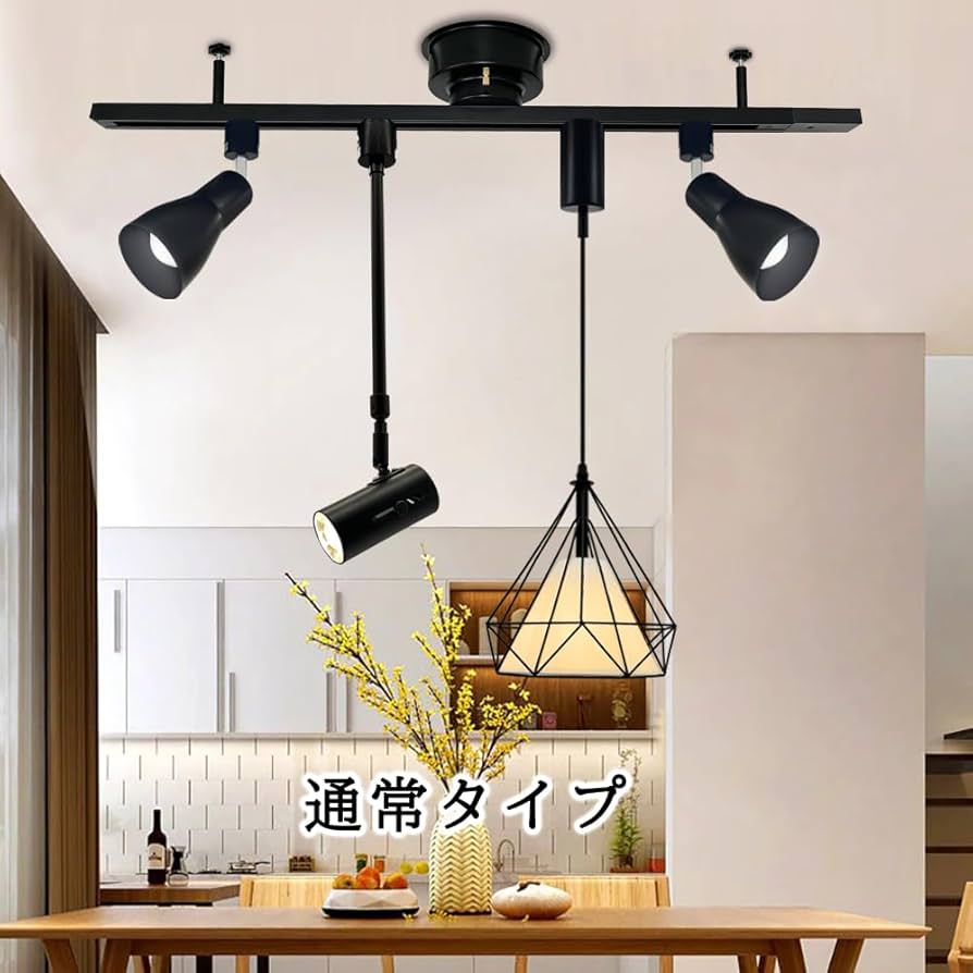 Amazon.co.jp : 配線ダクトレール 通常タイプ ライティングレール