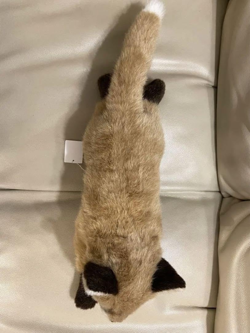 Amazon.co.jp: やまね工房 きつね ぬいぐるみ 落合けいこ 狐 ねむり