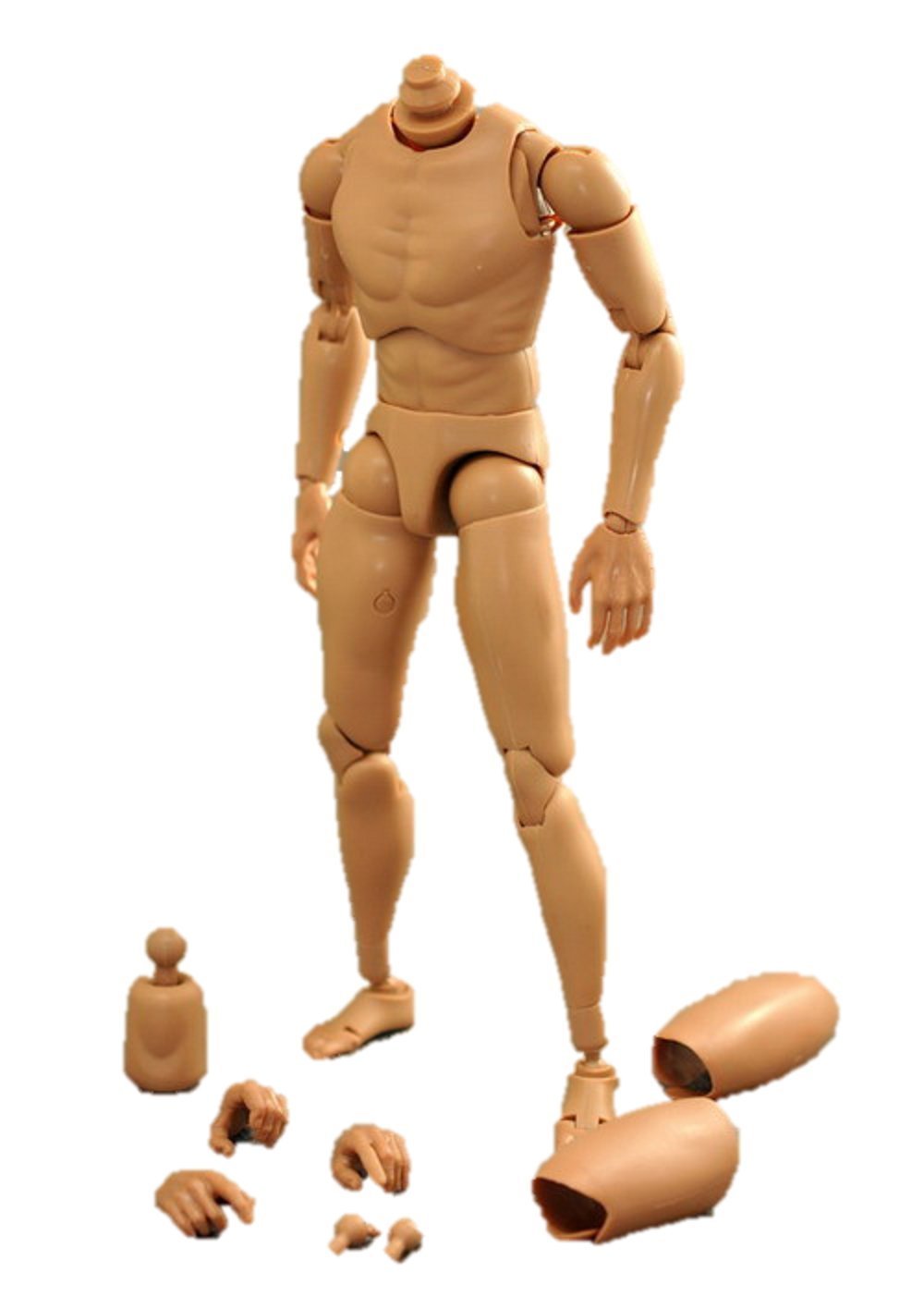Amazon | 1/6 フィギュア 男性 素体 | フィギュア・ドール 通販
