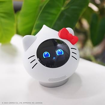 61k+Vh5LdrL._AC_UF350,