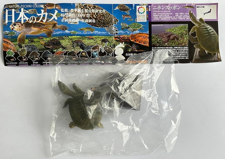 Amazon | 「ネイチャーテクニカラー 日本のカメ」シリーズ スッポン