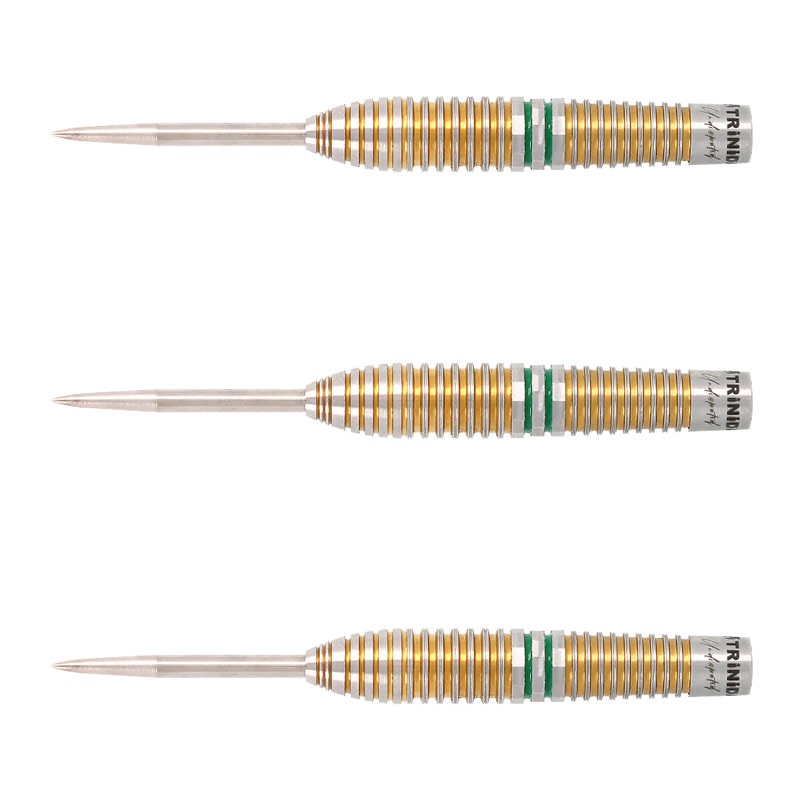 【けんた】リカルド タイプ3 浅田 斉吾 トリニダード ダーツ 1_000000052479_3.jpg