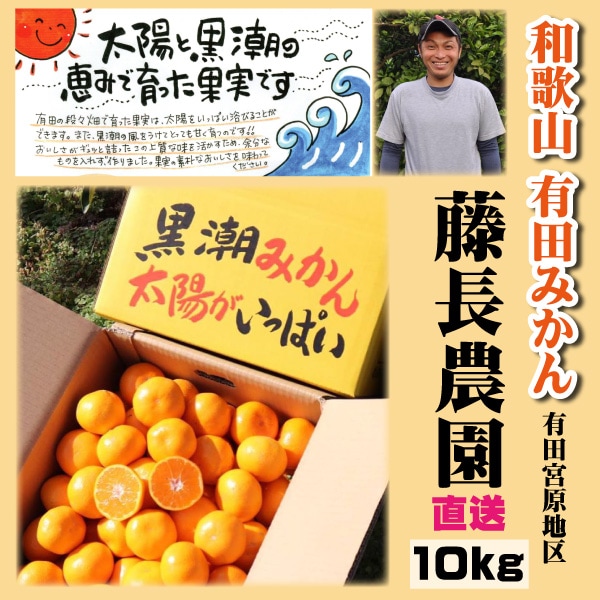 有田市宮原地区 藤長農園 お歳暮 有田みかん 10kg