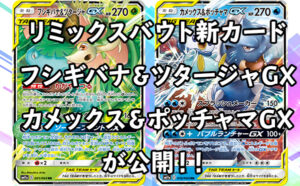sm11a-0621-300x186.jpg